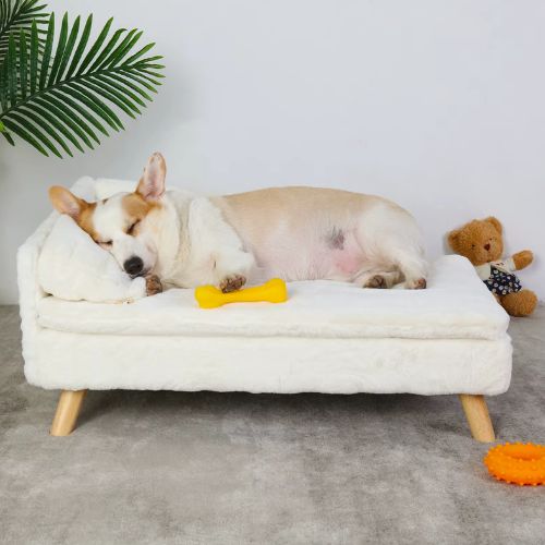 Chien détendu sur un canapé chien doux et pratique pour la maison