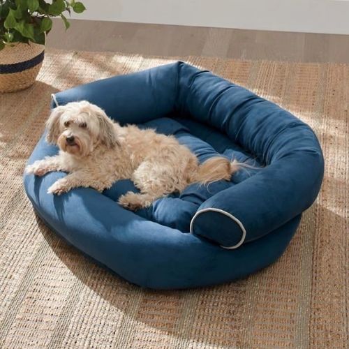 Un Caniche allongé sur un canapé pour chien en tissu suédé doux et cosy