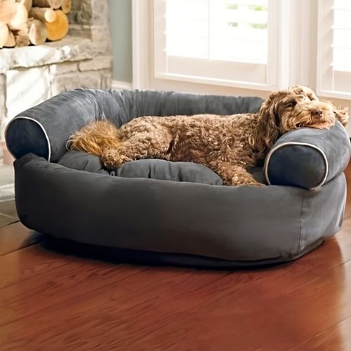 Canapé pour chien gris foncé confortable et résistant dans un salon moderne avec un caniche allongé dessus