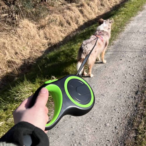 Laisse pour chien verte moderne Berger Australien en promenade urbaine, contrôle facile grâce à la poignée ergonomique