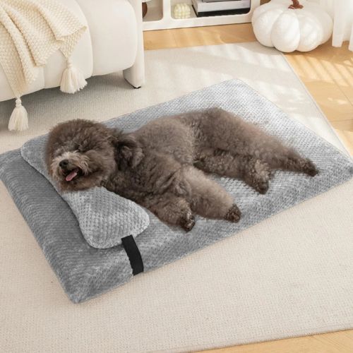Lit chien Ortholit orthopédique gris clair avec chien qui se repose confortablement