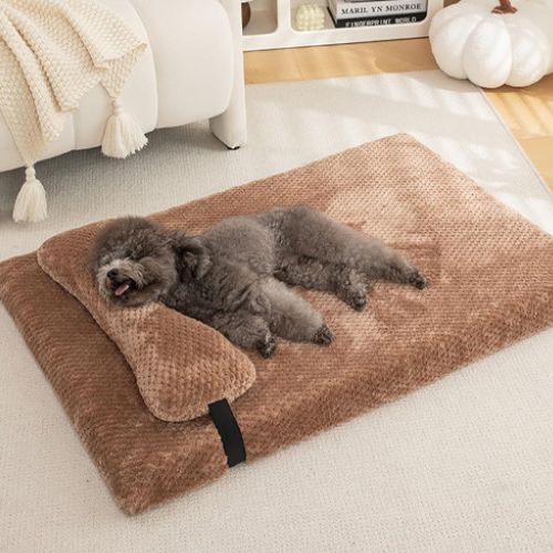 Compagnon à quatre pattes endormi sur un Lit chien marron Ortholit au confort supérieur