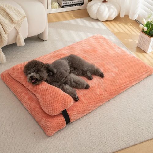 Chien détendu allongé sur un Lit chien rose confortable et doux Ortholit