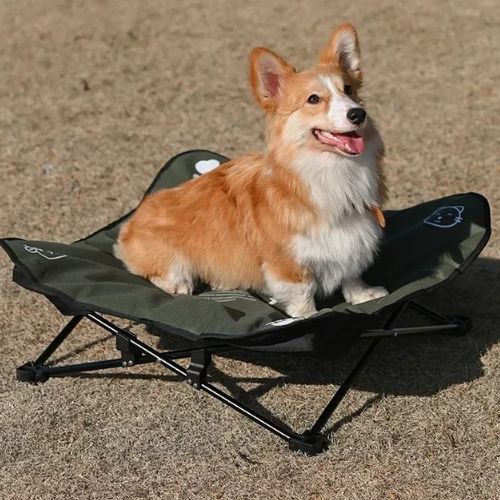 Lit de camp pour chien robuste et pratique pour les balades et voyages