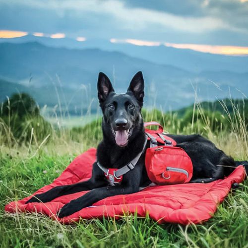 Lit de camping pour chien rouge pliable en tissu imperméable utilisé en extérieur