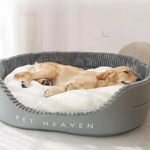 Chien qui dort paisiblement dans un lit pour chien Pet Heaven confortable et apaisant