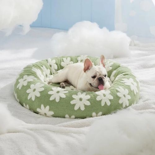 Chien Bouledogue français allongé dans un panier chien vert rond à motifs fleurs, rebords rembourrés pour un confort apaisant.