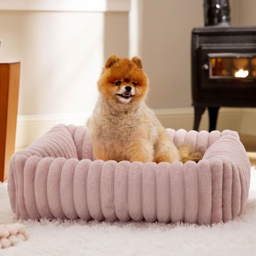 petit chien installé dans un panier pour chien en velours cÎtelé rose moelleux