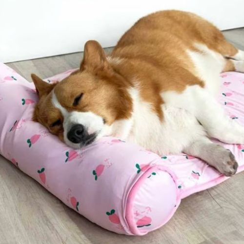 Chien marron et blanc couché paisiblement sur un tapis rafraichissant chien posé au sol