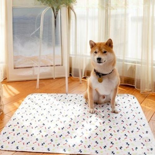 Un Shiba-Inu assis tranquillement sur une alèse pour chien blanc doux et imperméable posé sur le sol en parquet
