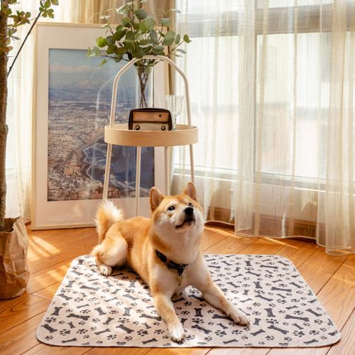 Un Shiba-Inu allongé tranquillement sur une alèse pour chien marron réutilisable et imperméable posé sur le sol en parquet