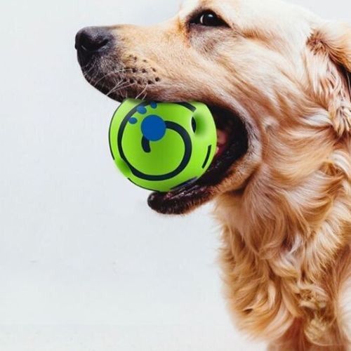 Chien courant avec une balle pour chien dans la gueule résistante avec motifs bleus idéale pour l'extérieur comme l'intérieur.
