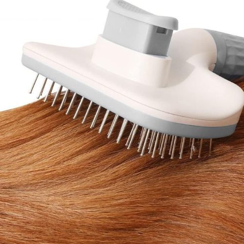 Brosse pour chien | Auto-brosse