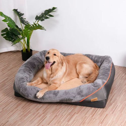 Grand canape pour chien gris dans une maison moderne avec chiens heureux et détendus.