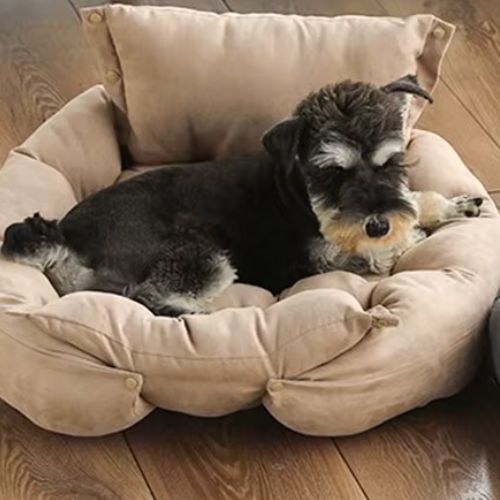 Chien Caniche allongé sur un canapé pour chien rond marron, combinaison idéale de douceur, sécurité et élégance.
