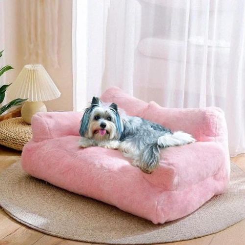 Un Yorkshire assis sur un Canape pour chien rose dans un salon lumineux