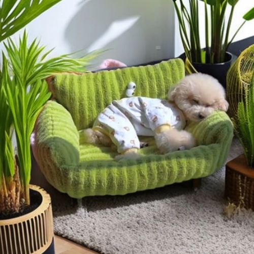 Petit chien blanc détendu dans un canapé pour chien vert rembourré cocooning