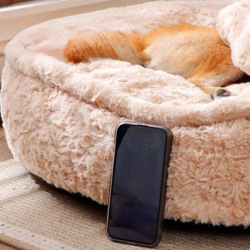 Coussin Chien | TouDouxâą