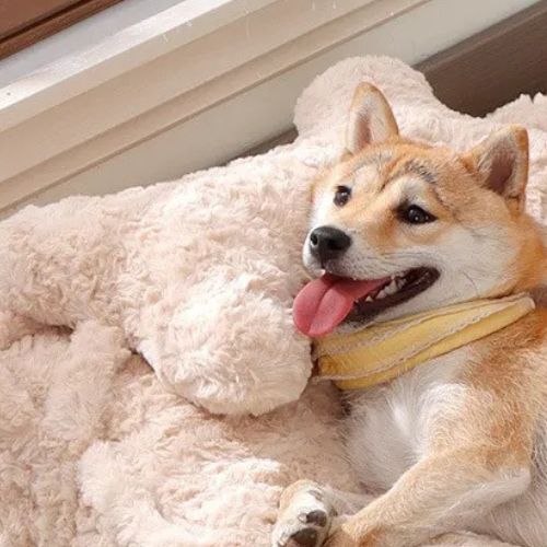 Coussin chien confortable avec rembourrage moelleux, conçu pour des siestes longues et paisibles.