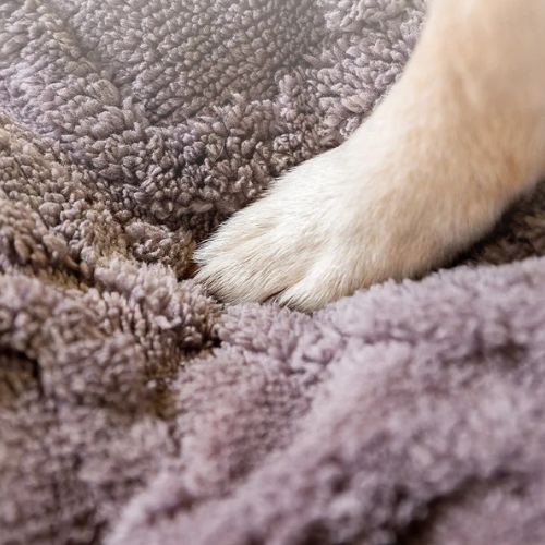 Coussin Chien | Nid Apaisant