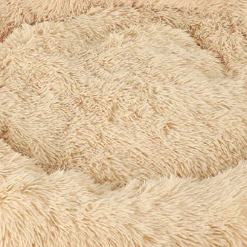 Coussin Chien | Plumouf™