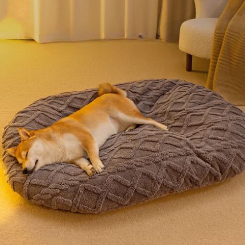 Coussin chien déhoussable et extra moelleux, conçu pour soulager les douleurs articulaires et réduire le stress, avec un Shiba endormi en position allongée, illustrant un confort optimal pour chiens sensibles ou âgés.