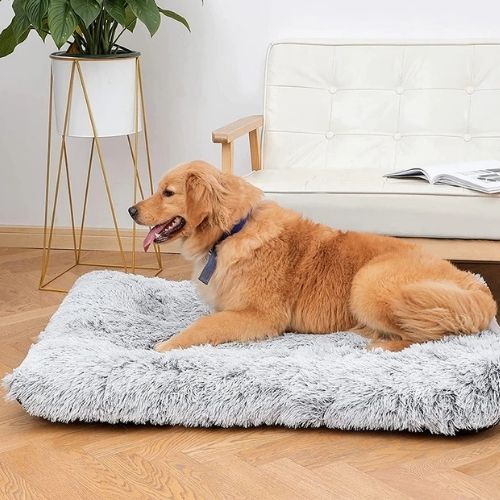 Coussin chien ultra moelleux posé au sol, offrant un espace de repos confortable et rassurant à votre compagnon. Son design doux et épais en fait un couchage idéal pour un usage quotidien à la maison.