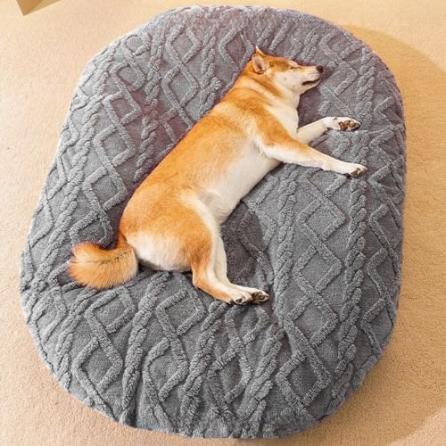 Coussin chien ultra moelleux gris utilisé par un chien endormi dans un salon, parfait pour offrir un sommeil réparateur et apaisant aux toutous
