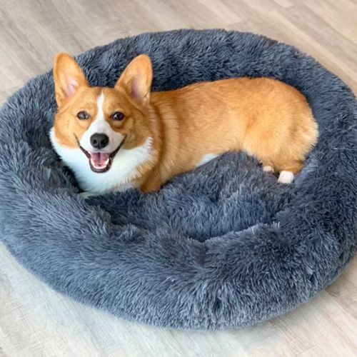 Coussin Chien Oasis Douce