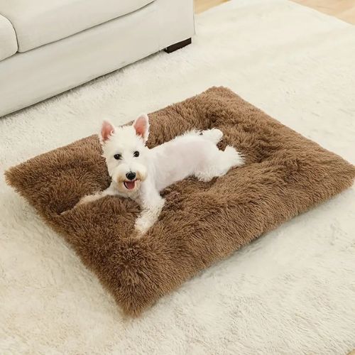 Coussin chien moelleux marron petit format, au design épuré qui s’intègre parfaitement dans un salon moderne. Allie confort pour votre chien et élégance pour votre intérieur.