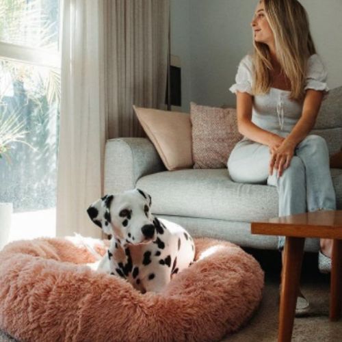 Un Dalmatien allongé sur un coussin grand taille en peluche long rond rose dans un salon avec sa propriétaire