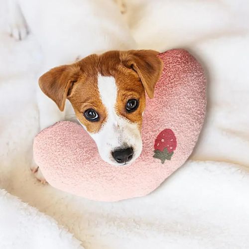 Oreiller pour chien apaisant