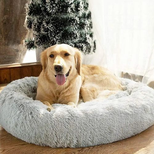 Un Labrador de grand taille installé confortablement sur un coussin pour chien posé au salon au sol en parquet.