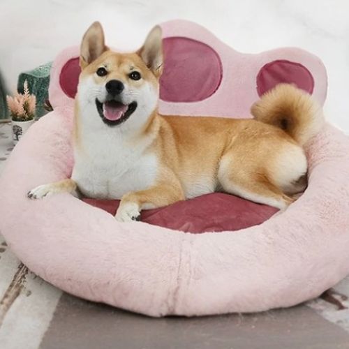 Coussin pour chien en forme de patte, design chaleureux et pelucheux, parfaitement intégré dans un intérieur cosy couleur blanc.