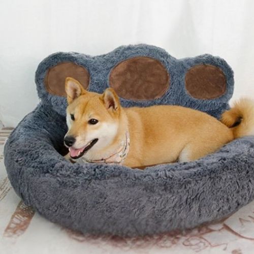 Chien confortablement installé dans un coussin pour chien moelleux en forme de patte, modèle gris doux et apaisant.