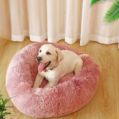 Un grand labrador blanc allongé paisiblement sur coussin pour chien XXL rose rond en peluche long moelleux doux.