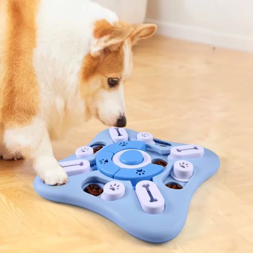 Chien concentré utilisant un jeu intelligence chien pour trouver ses croquettes
