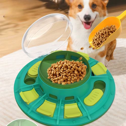 Un Corgi heureux il va jouer avec Accessoire éducatif jeu intelligent chien pour activité cérébrale quotidienne