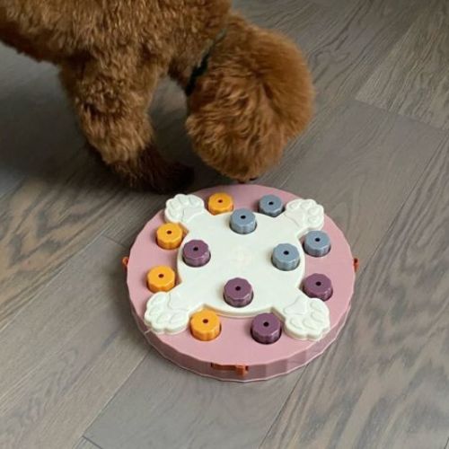 Caniche marron jouant avec un jouet pour chien rose anti-glouton, distribuant des croquettes tout en stimulant son intelligence.