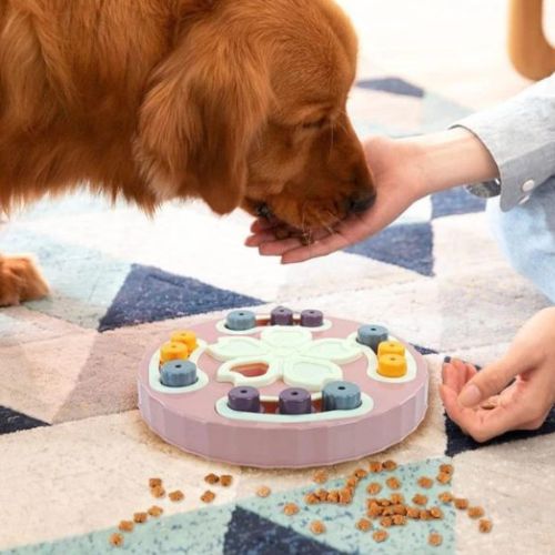 Labrador marron utilisant un jouet pour chien éducatif rose anti-glouton, guidé par sa maîtresse pour trouver les croquettes cachées.