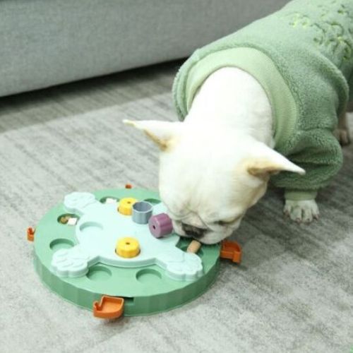 Un bouledogue français jouant avec un jouet pour chien vert anti-glouton, distribuant des croquettes tout en stimulant son intelligence.