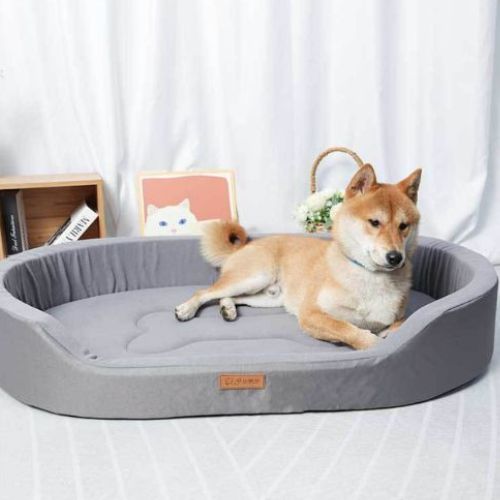 Un Shiba-Inu allongé dans un lit chien lavable gris avec rebords surélevés offre un sentiment sécurisant
