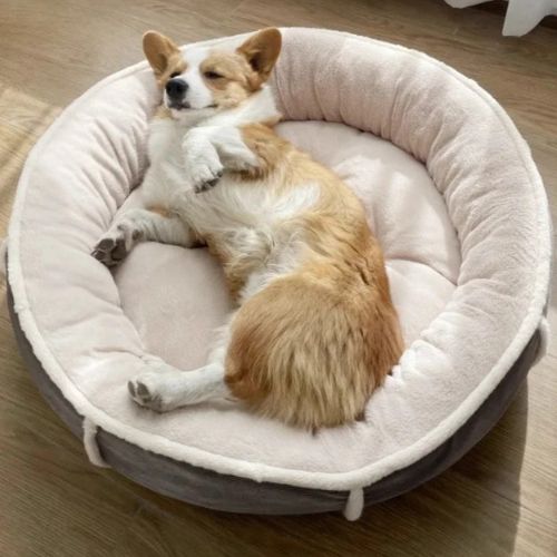 Chien qui dort paisiblement dans un lit chien rond douillet beige et gris, offrant confort et sommeil réparateur.