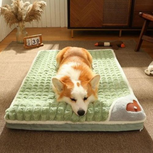 Chien corgi couché sur un lit chien orthopédique vert, matelas confortable et amovible pour un sommeil réparateur