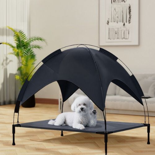 Lit de camp pour chien surélevé avec auvent, parfait pour garder un chien au frais pendant les journées en plein air