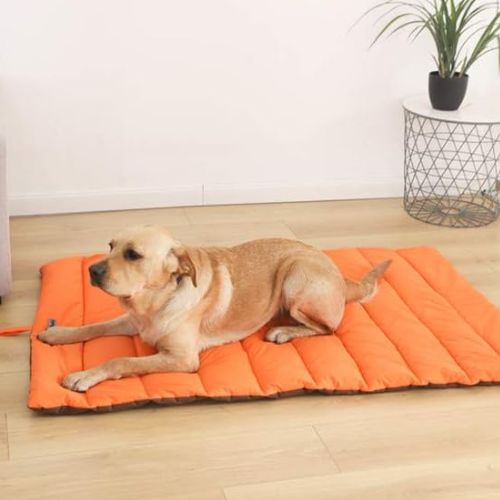 Un Labrador allongé sur un lit de camping pour chien orange doux et confortable dans une terrasse chaleureux