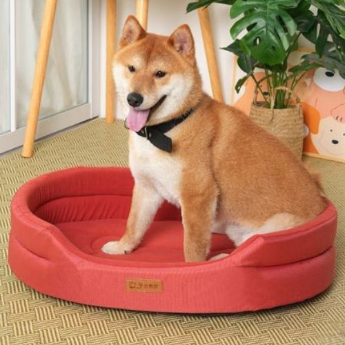 lit pour chien XXL rouge doux et moelleux avec un Shiba Inu confortablement installé posé dans une pièce chaleureuse.