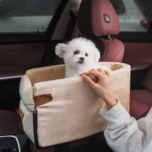 Petit chien assis dans un siège auto beige pour chien, sécurisé et confortable, utilisé lors d’un trajet en voiture