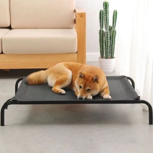 Un Shiba Inu allongé sur lit pour chien surélevé pratique et confortable pour toutes tailles de chiens