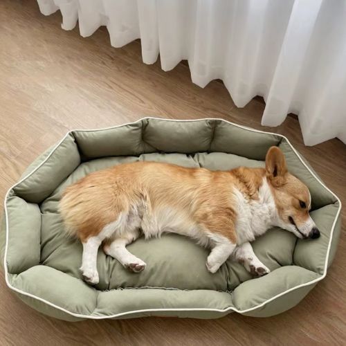 Lit pour chien moelleux avec rebords de soutien, coloris vert chic, conçu pour le confort et le bien-être des chiens de toutes tailles.